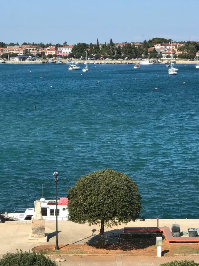 Bojci App Trgovacka Ulica 3 Apartmán